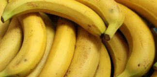 Do bananas have seeds? Interesting facts about banana Do bananas have seeds picture of bunch of bananas