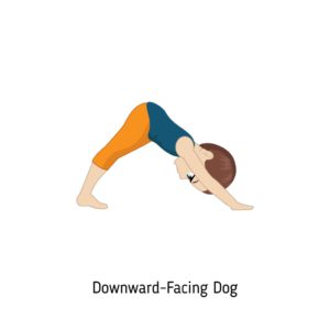 downward facing dog pose
