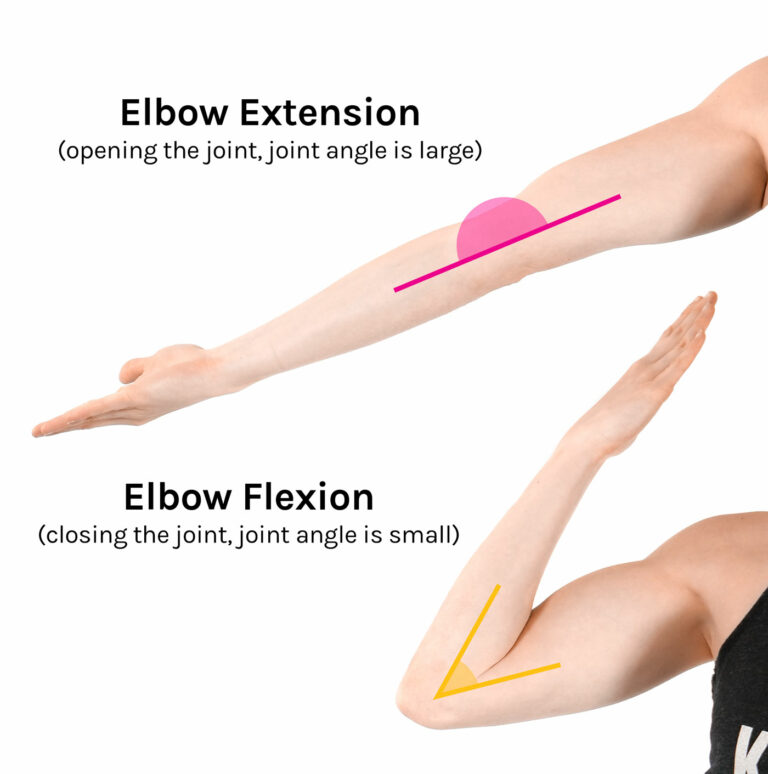 Effective Radial Nerve Gliding Exercises for Enhanced Function