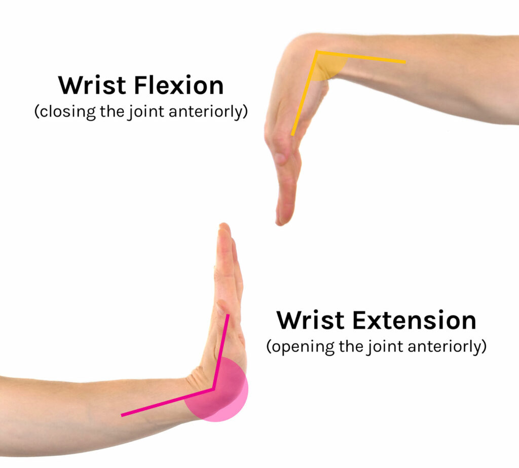 Effective Radial Nerve Gliding Exercises for Enhanced Function