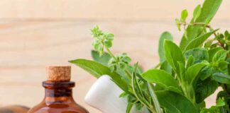 The Role of Natural Remedies in Pain Management