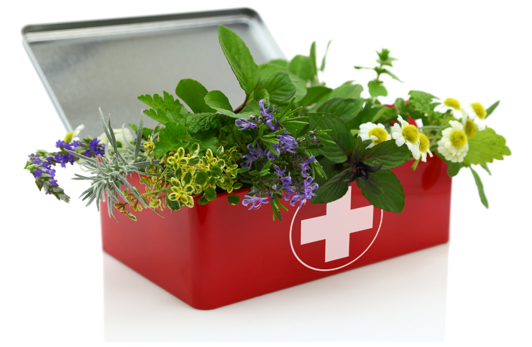 Building Your Natural First Aid Kit