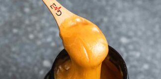 Top 7 Raw Manuka Honey Brands: Best Manuka Honey Options in 2024