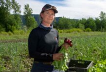 Organic Farming in California: Benefits, Challenges, and Resources