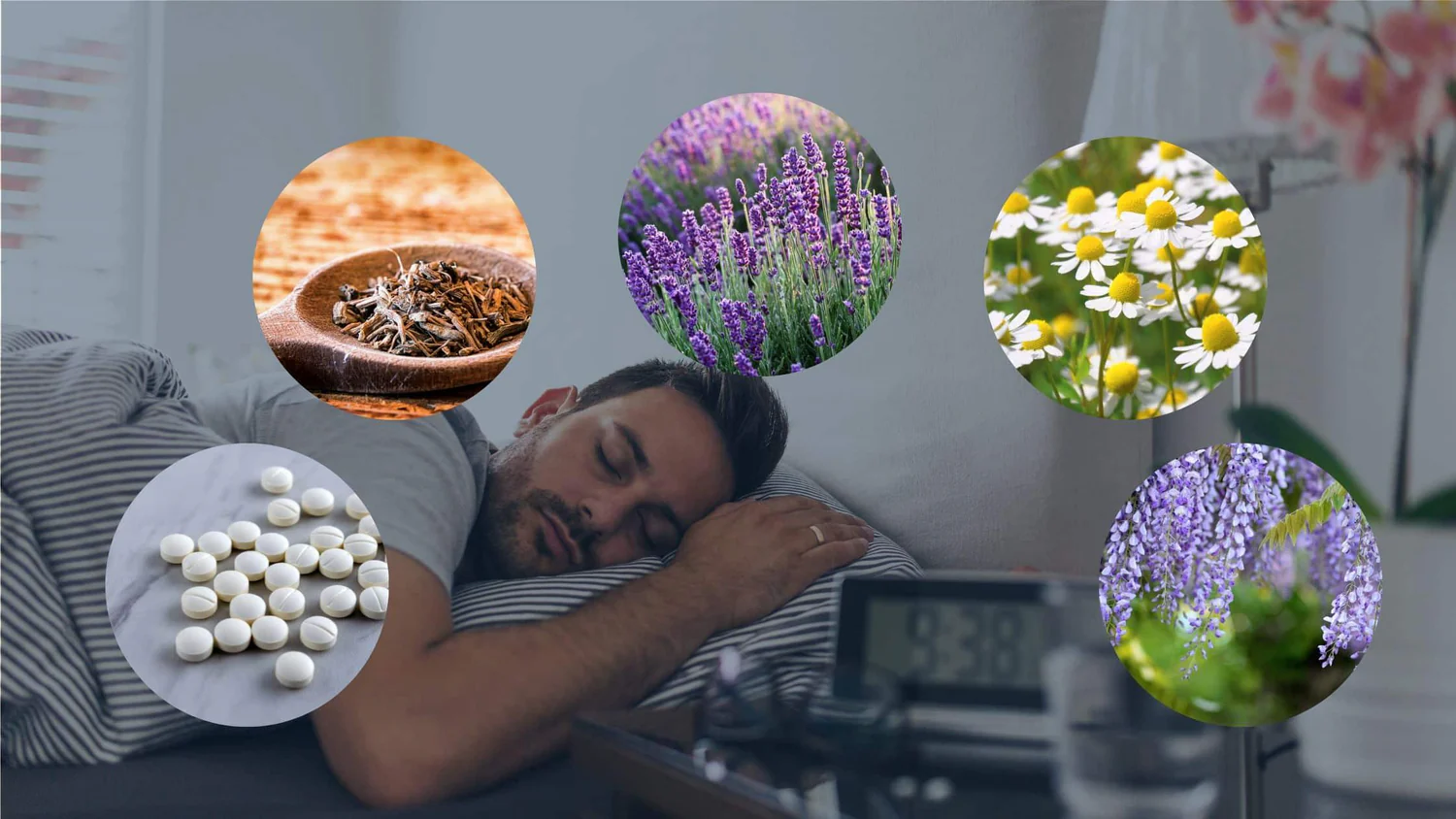 Natural Sleep Aids