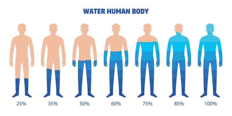 Fluid Balance in the Human Body