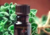 How Oregano Oil Can Boost Your Fitness Recovery Naturally