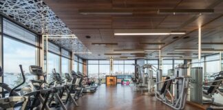 Budget Rowing Machine For Small Spaces – Exercise Daily