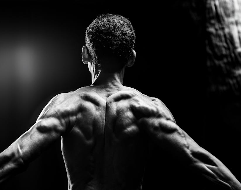 AI Body Composition Analyzer For Home – Exercise Daily